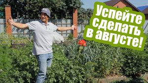 Работы в саду и огороде в августе. Что посадить и как ухаживать за растениями