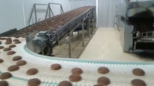 ЛИНИЯ ИМБИРНОГО ПРЯНИКА АО ШМЗ