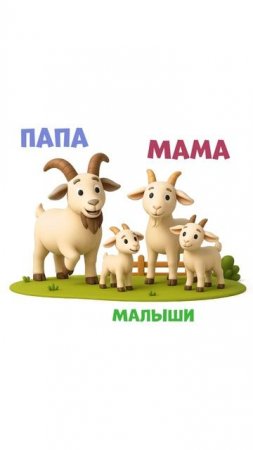 Животные на ферме. Кто спрятался на картинке?