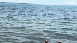 Геленджик пляж Магнолия сегодня 31 июля 2025. Какая погода в Геленджике, как выглядит пляж, море