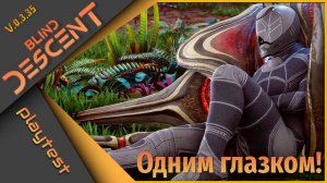 Blind Descent PlayTest - Одним глазком!