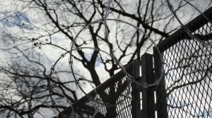 6581406-uhd_3840_2160_24fps