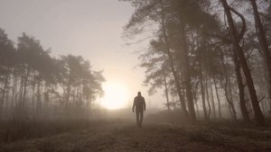11349554-hd_1920_1080_30fps