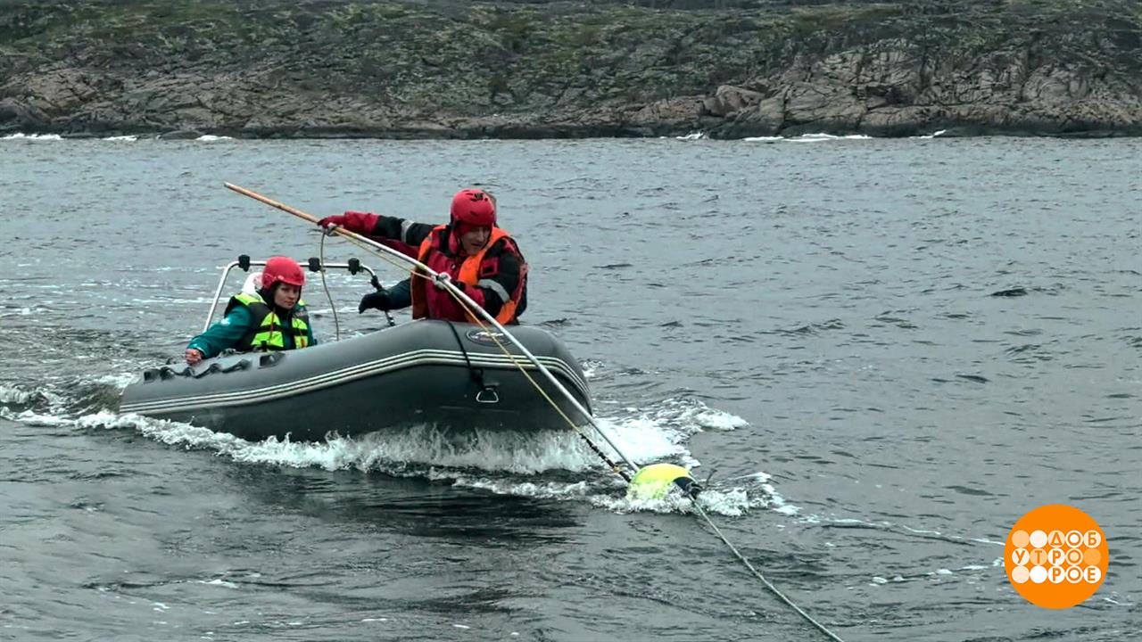 Как спасали кита Станислава. Доброе утро. Фрагмент выпуска от 31.07.2025