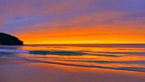 Heat Flow  Summer Pop x Tropical Visuals