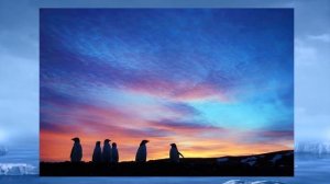 "Антарктида" (стихотворение В. Гаазова)