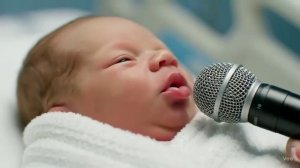 ТЦК - Украина