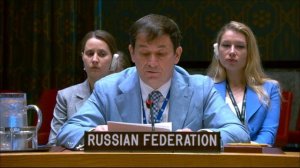 Выступление Д.А.Полянского в СБ ООН по Украине