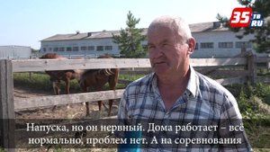 Под топот копыт вологодская тройка стала победителем II этапа чемпионата России под Вельском