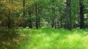 Истории из жизни: ✅ Битва за семью, любовь .. Аудио рассказы Жизненные истории