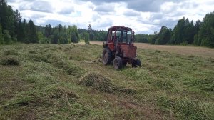 Сенокос 2025. Скосил поле 5 гектар и сеяный клевер. Трудное кошение лежалого клевера с люцерной.