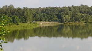 Земля 3,2ГА
с.Чаусово