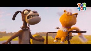 Промо. Канал ТипТоп. Август 2025