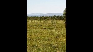 Уральские горы Ural Mountains