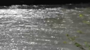 ПРИРОДА после дождя! Видео.