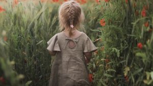 4811927-hd_1920_1080_30fps