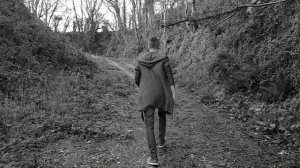 3672362-hd_1920_1080_25fps