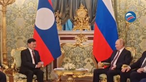 Лаос дарит Санкт-Петербургу слонов: символ дружбы на 65-летие дипломатических отношений