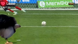 ворона скебоб выиграл в футбольном матче в команде Зенит на телеканале матч ТВ