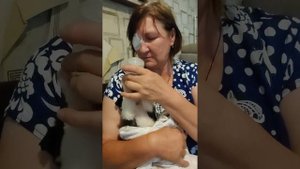 Глаз глазом, а ребёнка надо кормить, он хочет кушать