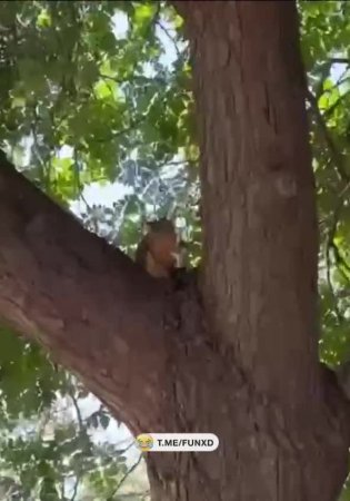 Доброе утро!😅