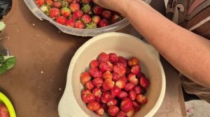 ПРОСИЛИ РЕЦЕПТ ОГУРЦОВ..ПОКАЗЫВАЮ...СОБИРАЮ КЛУБНИКУ