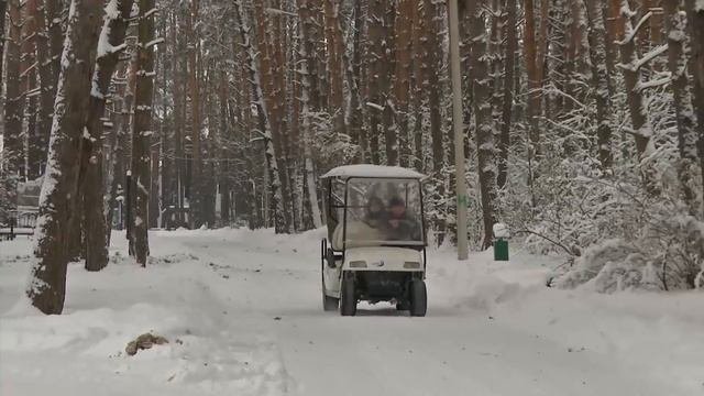 Парк-Отель Дракино, шины  | Совет дня