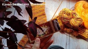 на кухне оладушки на спицах носочки. вязание. Эпизоды сегодняшнего дня. 31.07.2025