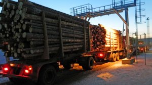 Измерение объема круглых лесоматериалов. Поточные лидарные системы +7 (8212) 400-100, zimart@mail.ru