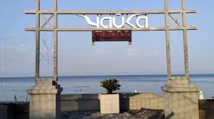 Адлер  пляж чайка погода утром 30 июля