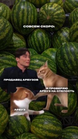 уже по всей стране #shorts