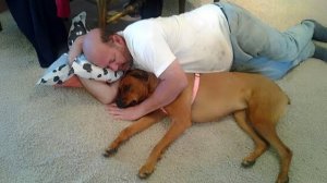 Когда ваша собака думает, что её комфорт — ваша проблема