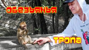 Monkey Trail /Обезьянья тропа /Ао Нанг Краби