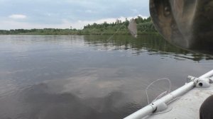 Открытие летней рыбалки с лодки. р.Ветлуга. Юркино Марий-эл. Ловля на кольцо и минифидер.