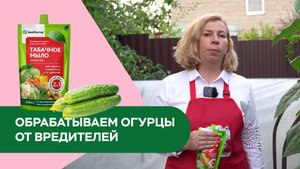 Чем заменить инсектициды в борьбе с насекомыми вредителями?