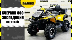 Квадроцикл Stels Guepard 800 Экспедиция