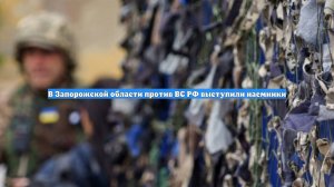 В Запорожской области против ВС РФ выступили наемники