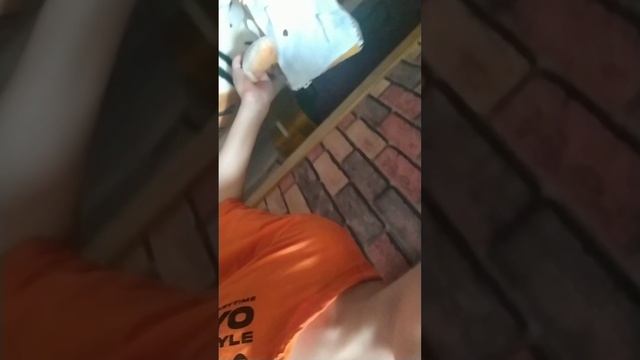 ЗЛОЙ ТВ МЕН В РЕАЛЬНОЙ ЖИЗНИ 1 ЧАСТЬ