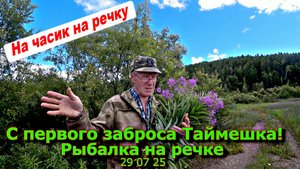 С первого заброса Таймешка! Рыбалка на речке 29 07 25