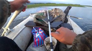 Рыбалка на хищника в заводях Волги. Спиннинг и кружки. Удельная. Марий-эл.