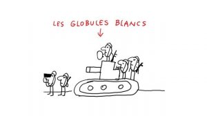 Pourquoi_le_sang_est_il_si_important_pour_le_corps_？_1_jour,_1_question