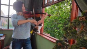 Титаник, смешной прикол, фальшивая флейта, кошка актер