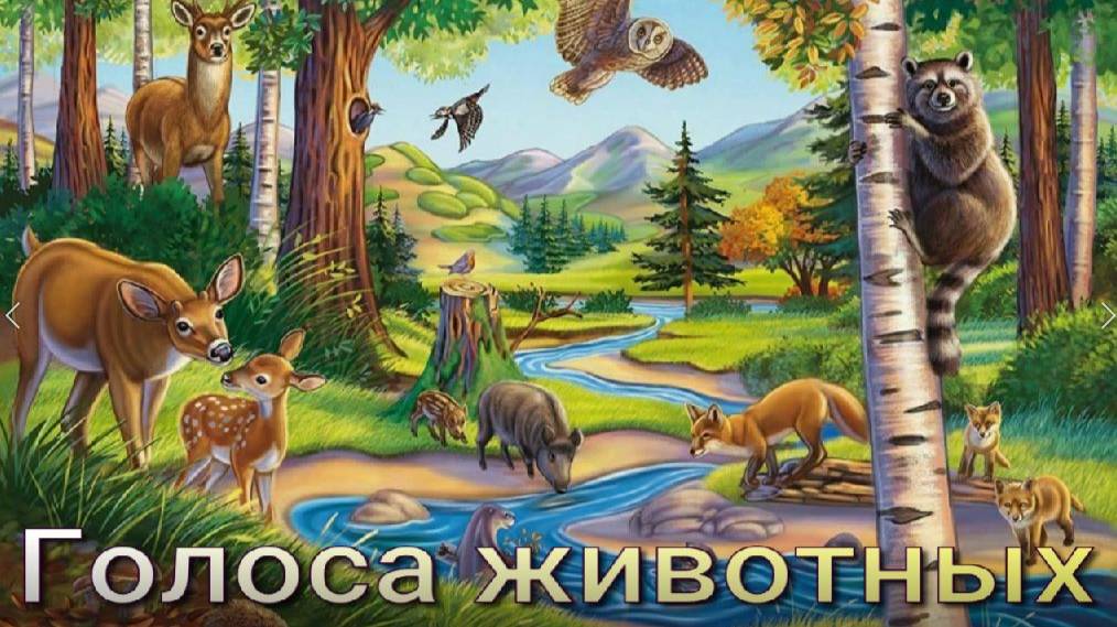Звуки диких животных. Голоса животных