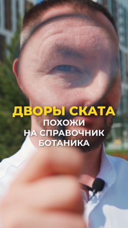 Биоразнообразие во дворе - СКАТ