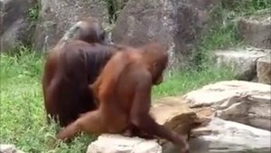 ПОДБОРКА ПРИКОЛОВ 2025 _ ЛУЧШИЕ ПРИКОЛЫ 2025 _ РУССКИЕ ПРИКОЛЫ 2025 _ ТОП ВИДЕО ПРИКОЛЫ 3