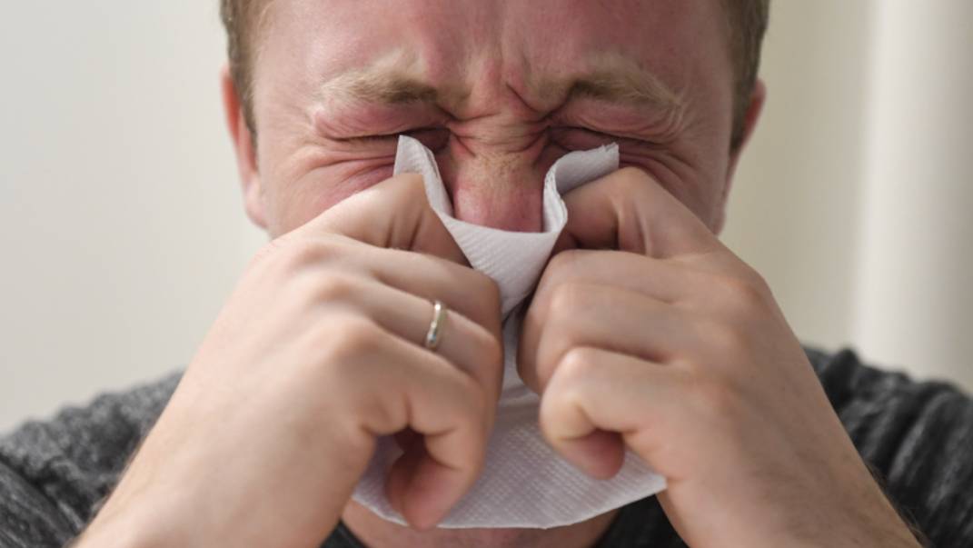 Облако аллергенов: концентрация пыльцы полыни в Москве достигла критического уровня