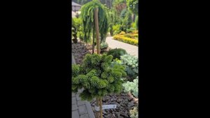 Видео от Натальи