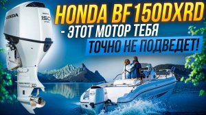 HONDA BF150DXRD— Безотказный мотор для любых условий!