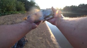 Юркино. Рыбалка на фидер с берега. Река Ветлуга.