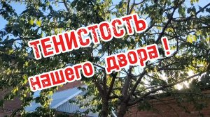 Ейск ! Тенистость нашего двора в разное время дня ! Пляж Малина ! 31-07-2025